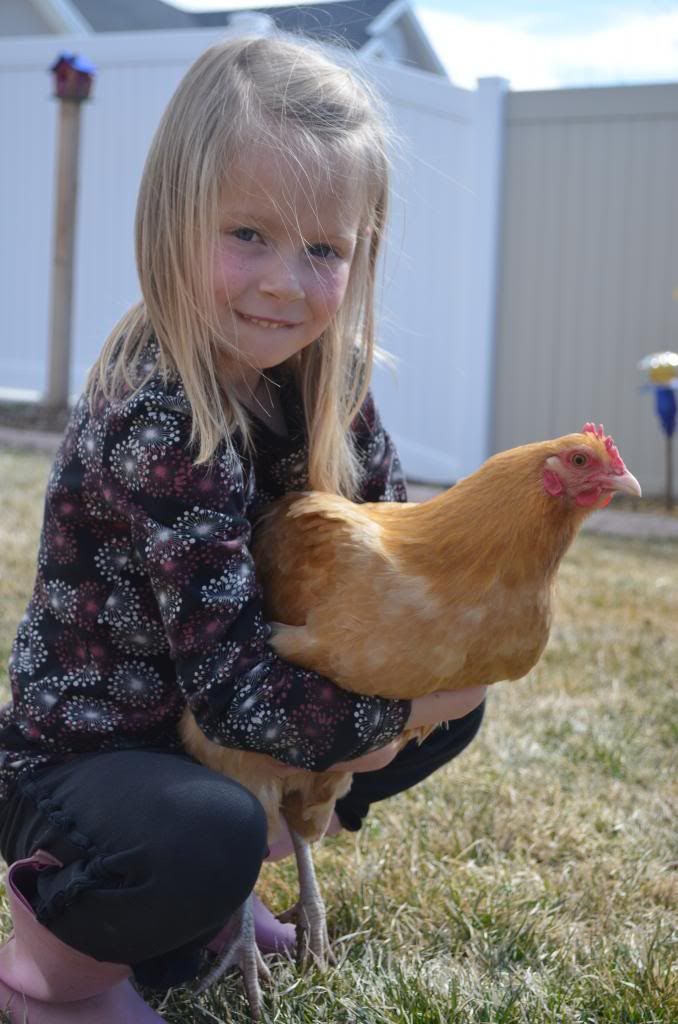  photo DSC_0187_091_zps79bf039b.jpg