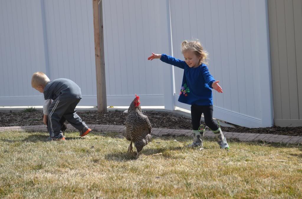  photo DSC_0191_104_zpsaa3840ba.jpg