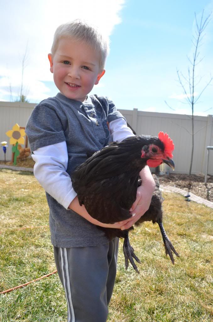  photo DSC_0192_105_zps167d8b4b.jpg