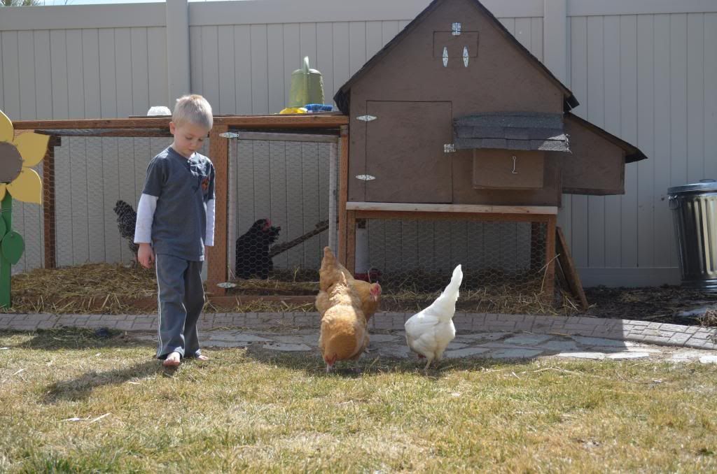  photo DSC_0197_107_zps1711866e.jpg