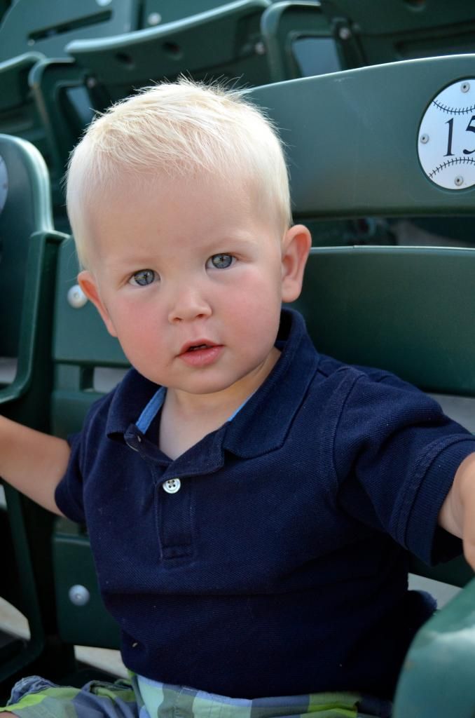  photo DSC_0199_zps9ba723d0.jpg