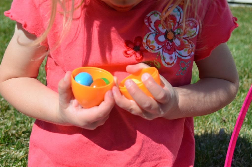  photo DSC_0314_184_zps7dadd6d3.jpg