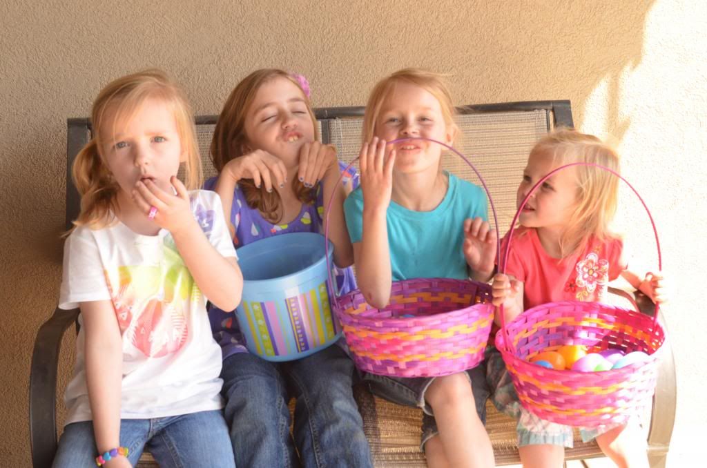  photo DSC_0320_186_zps0d9b0372.jpg