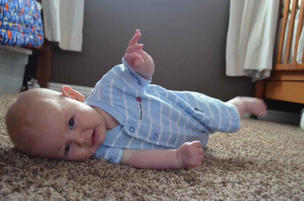  photo DSC_0351_217_zps3950b0e1.jpg