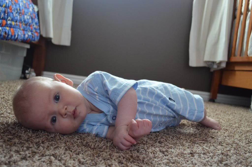  photo DSC_0355_211_zpsb9fa7f7b.jpg