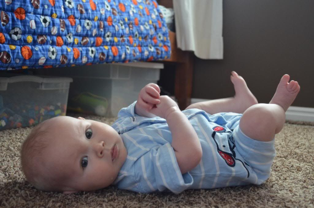  photo DSC_0363_210_zps56a4a6fc.jpg