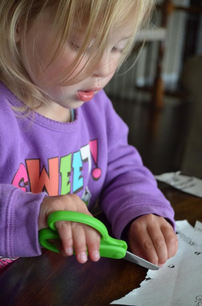  photo DSC_0464_222_zpsf1513b73.jpg