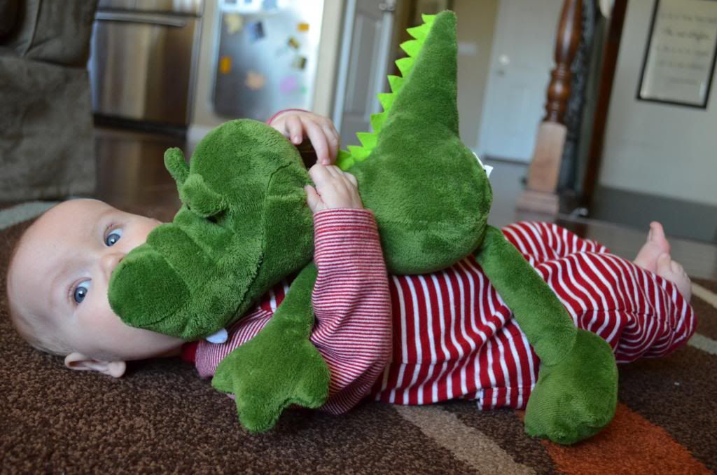  photo DSC_0490_320_zps59b4f4d0.jpg