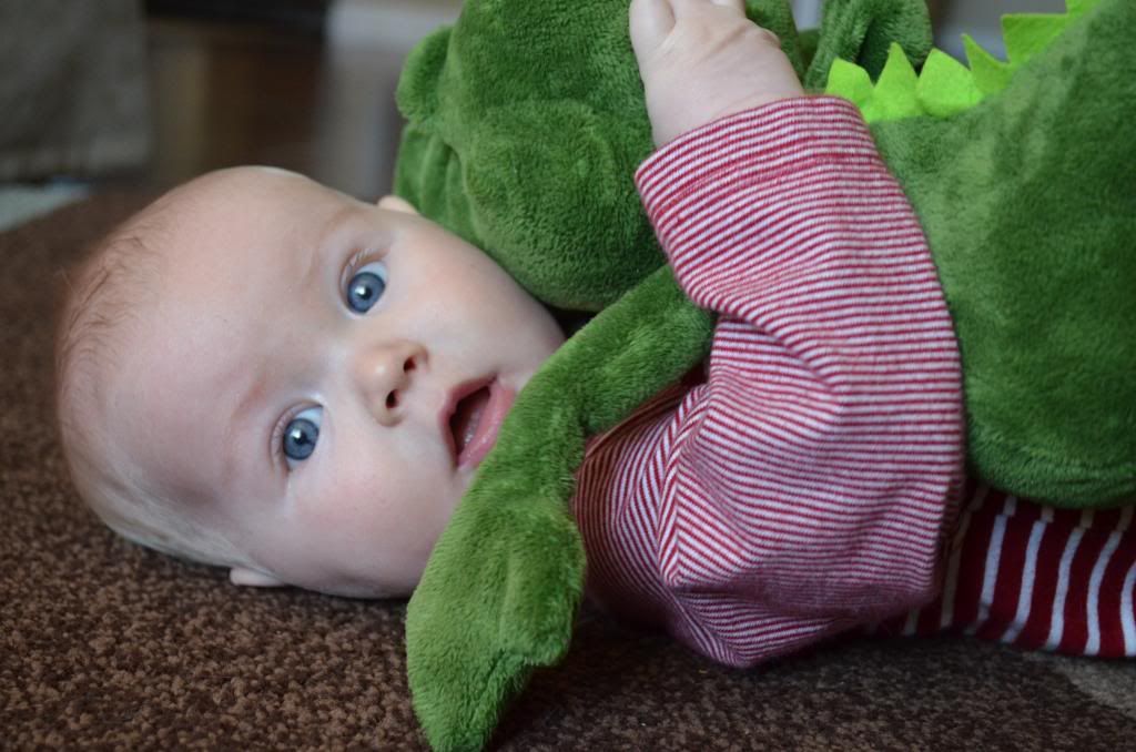  photo DSC_0492_321_zpsa63db660.jpg