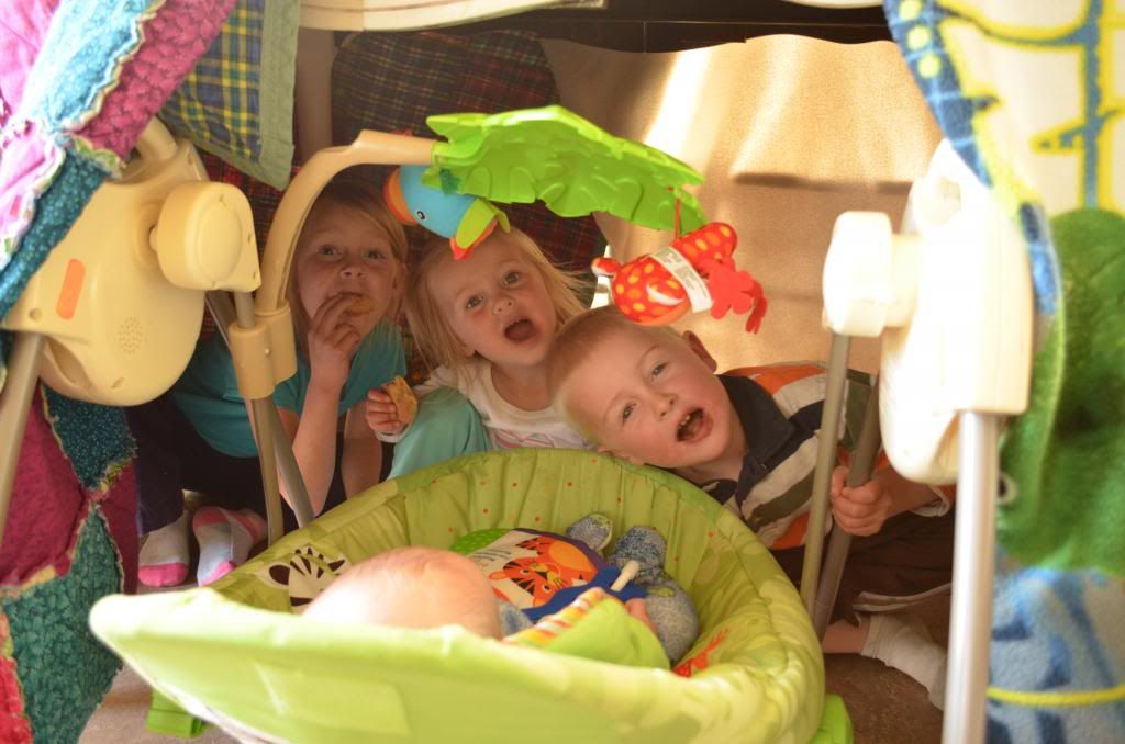  photo DSC_0509_322_zps912cd026.jpg