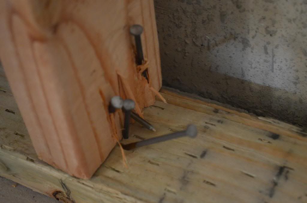  photo DSC_0516_338_zpsd3588e05.jpg