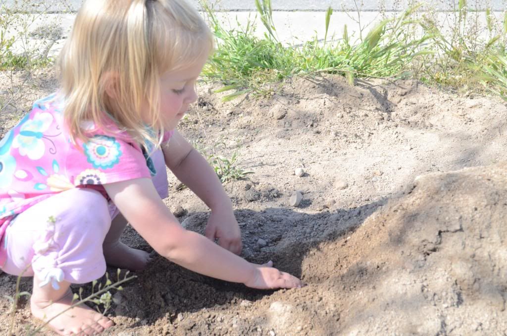  photo DSC_0524_334_zps6ca202fb.jpg