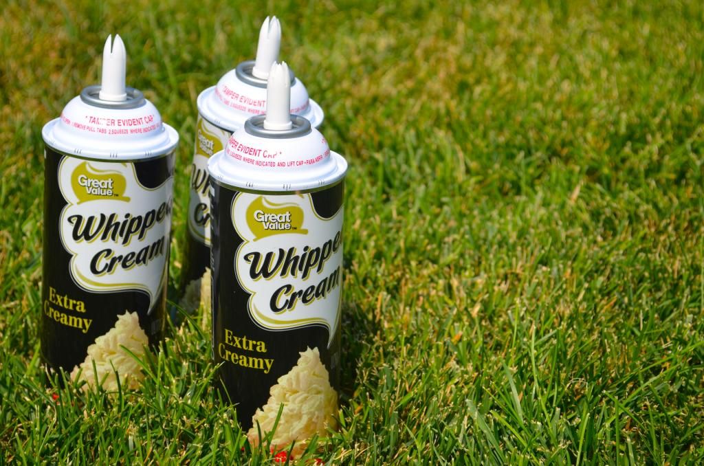  photo DSC_0528_zps2ea77e51.jpg