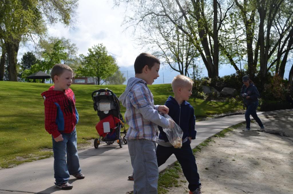  photo DSC_0576_377_zps3fb2addd.jpg