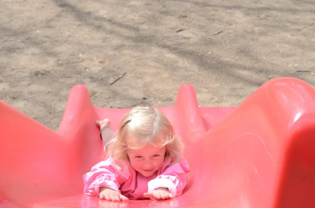  photo DSC_0593_373_zps0de2d875.jpg