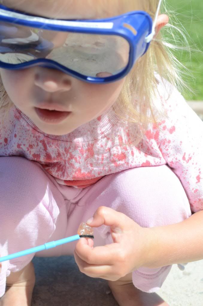  photo DSC_0608_374_zpsfd01f511.jpg