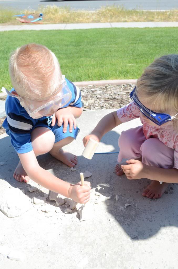  photo DSC_0611_380_zpsf2b9c240.jpg