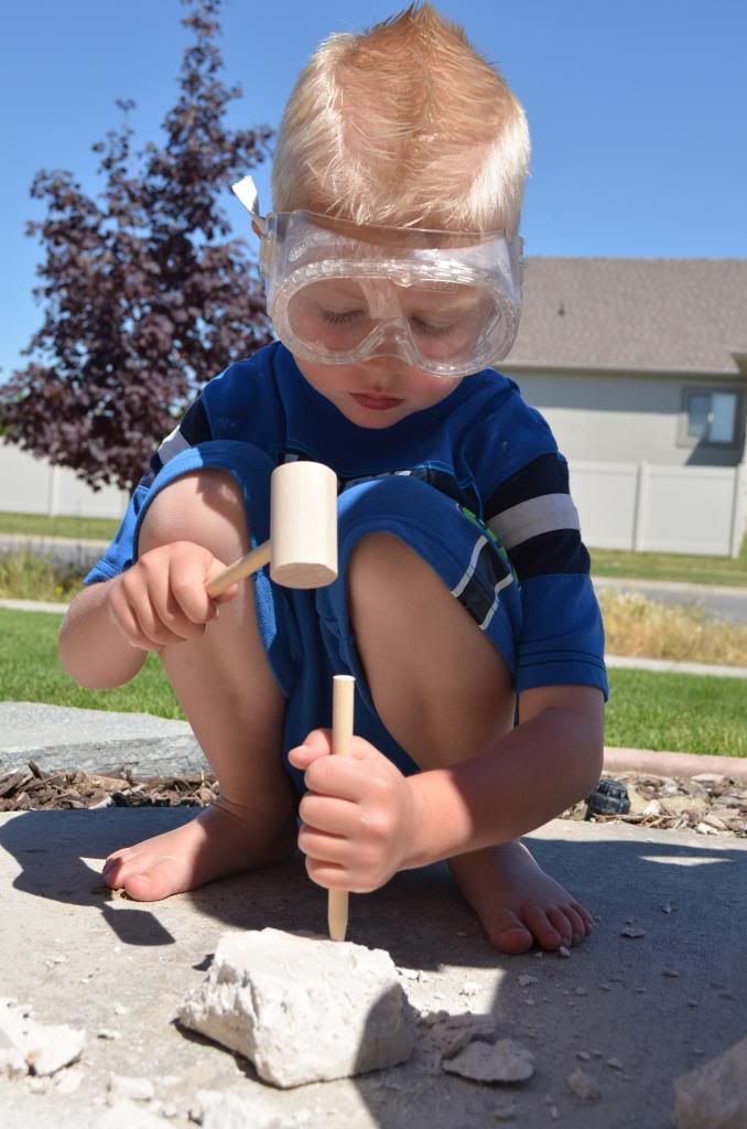  photo DSC_0616_355_zps8ad9909a.jpg