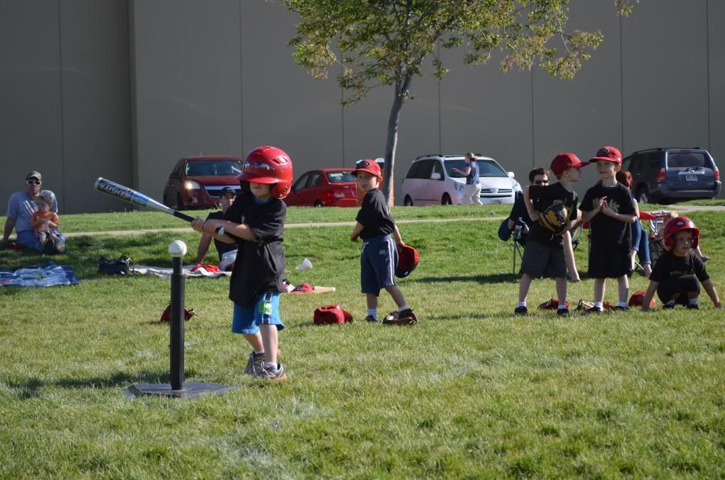  photo DSC_0637_389_zps01673715.jpg