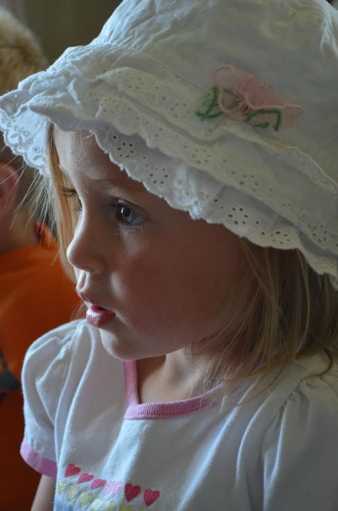  photo DSC_0806_450_zps1e5028d2.jpg