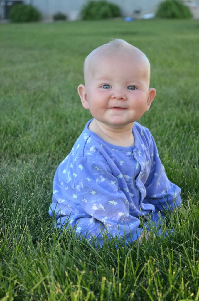  photo DSC_0845_495_zpsccecafa3.jpg