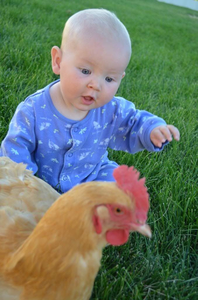  photo DSC_0855_500_zps141e0669.jpg