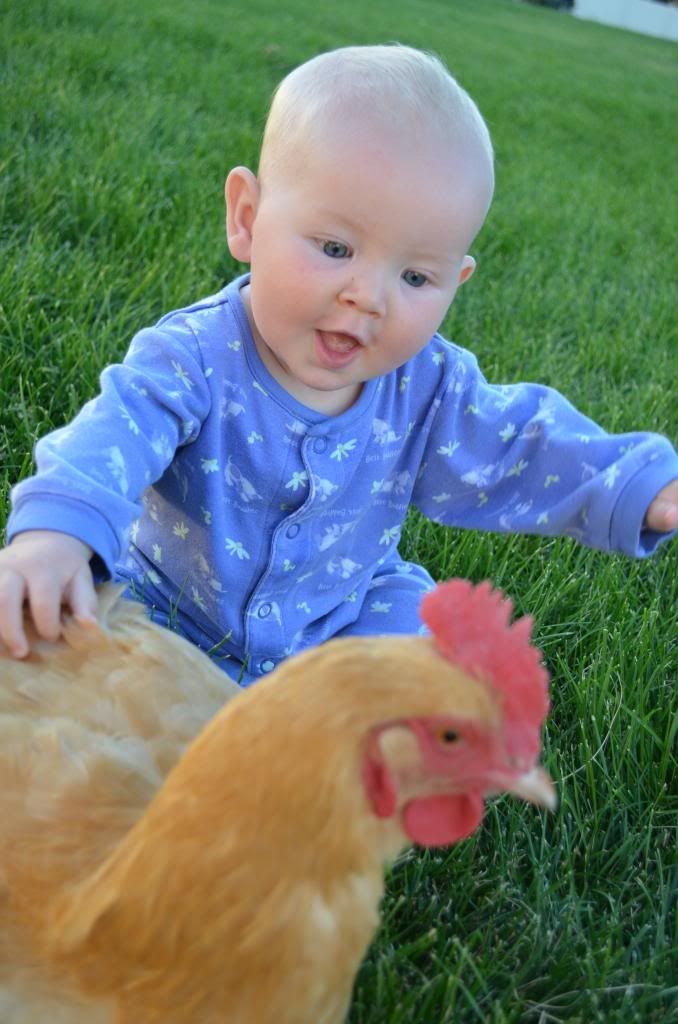  photo DSC_0856_499_zpscac0a430.jpg