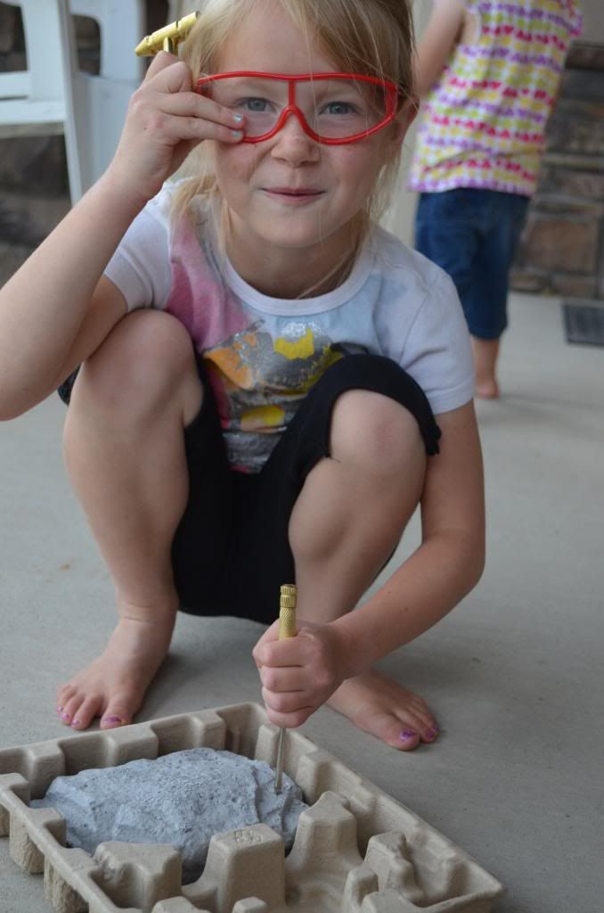  photo DSC_0858_570_zps92e45538.jpg