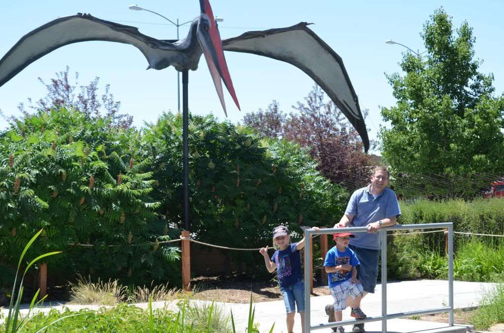  photo DSC_0901_551_zps3e168562.jpg