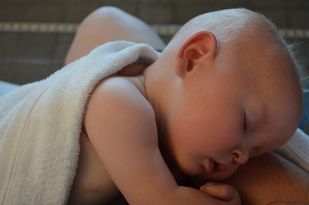  photo DSC_0950_532_zps6e9f1dab.jpg