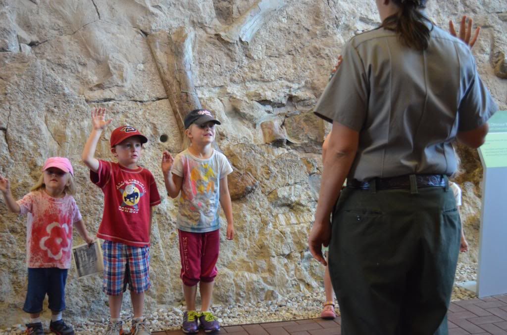  photo DSC_0973_518_zps4c89e2e1.jpg