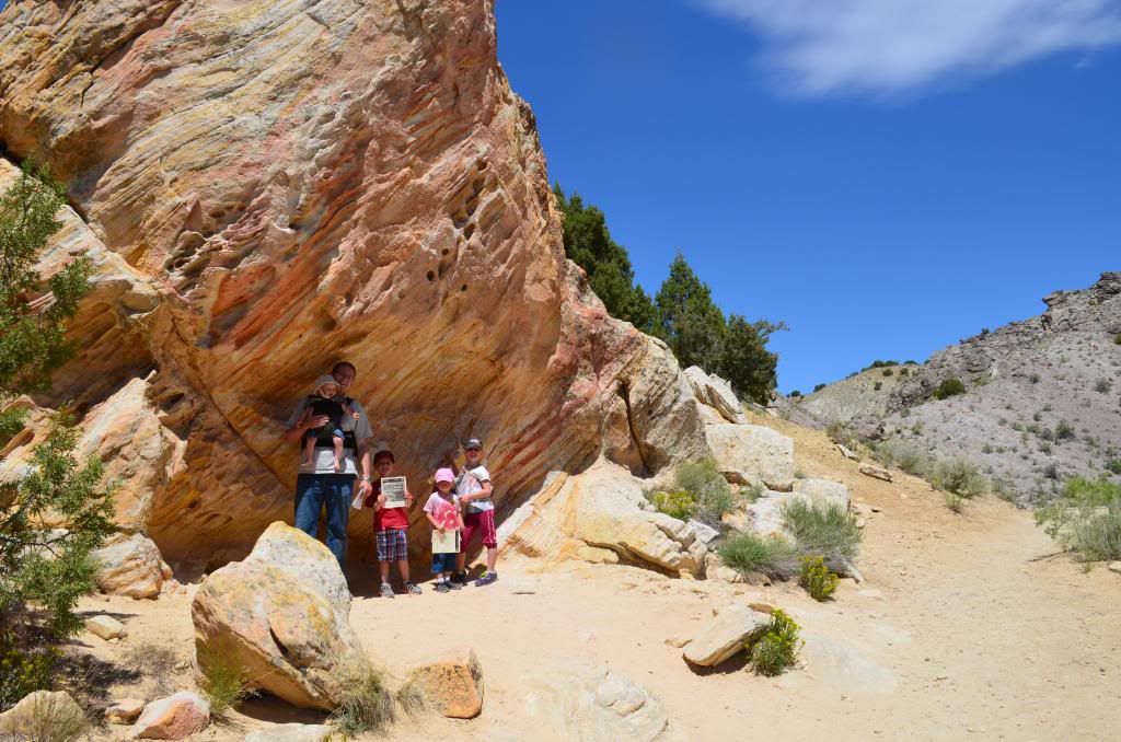  photo DSC_0993_514_zpsf4146aa0.jpg