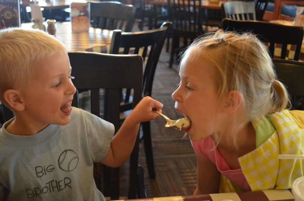  photo DSC_1005_573_zps204ef311.jpg