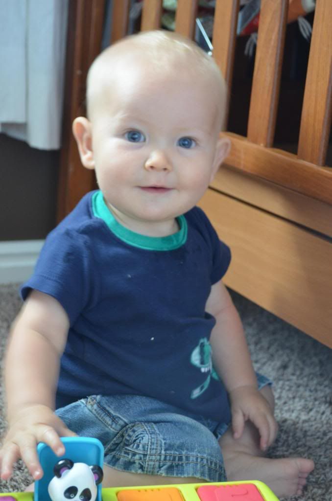  photo DSC_1163_zpsf1c631d4.jpg