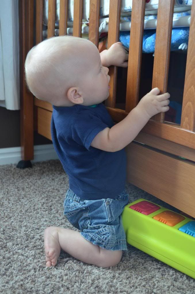  photo DSC_1164_zps84f474ad.jpg