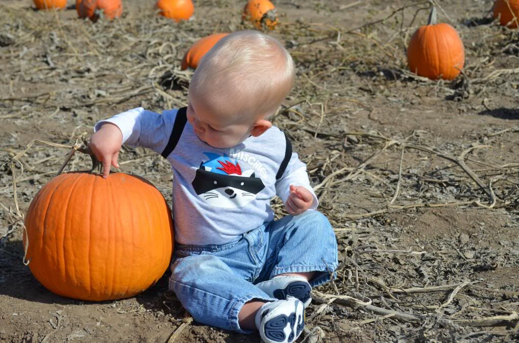  photo DSC_1459_zpsce88ad97.jpg