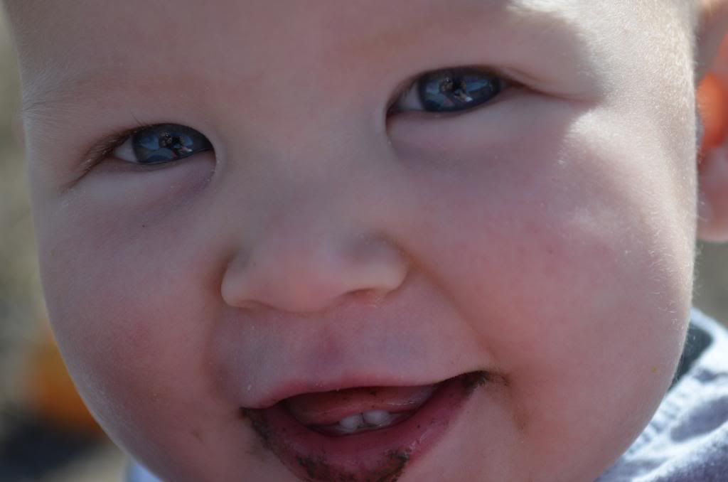  photo DSC_1475_zps8370f908.jpg