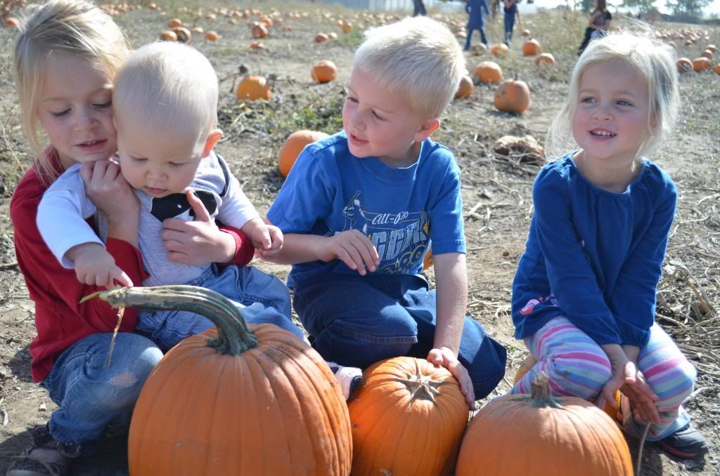  photo DSC_1484_zpsafb45dd9.jpg