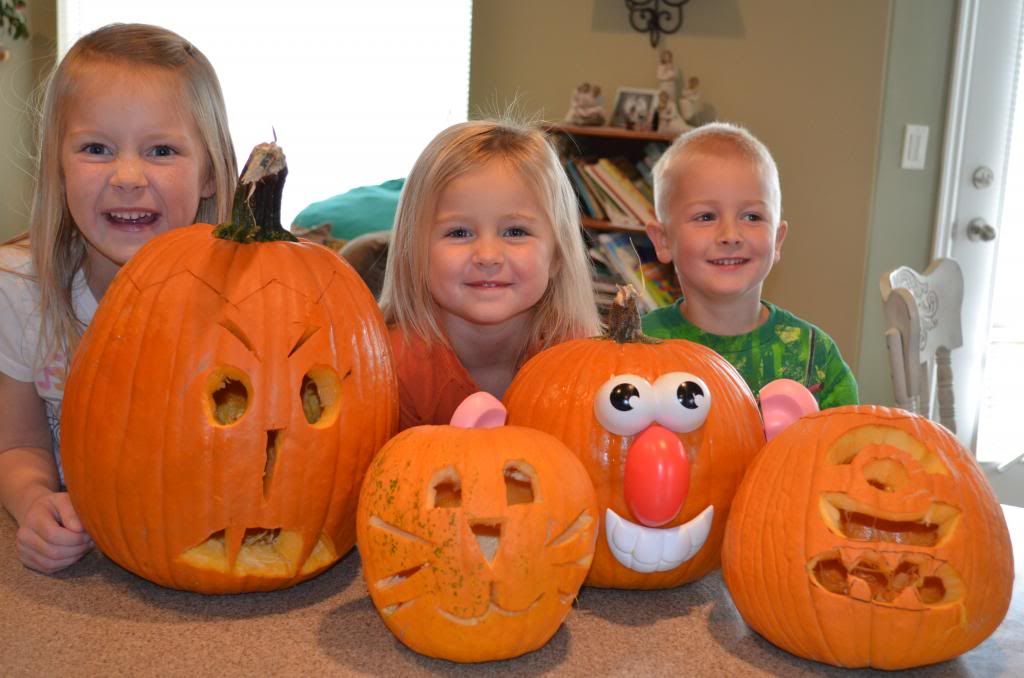  photo DSC_1540_zps7a307bc7.jpg