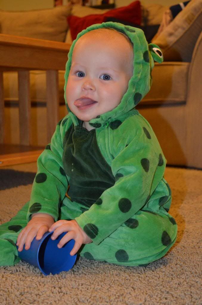  photo DSC_1555_zpsfb9d493d.jpg