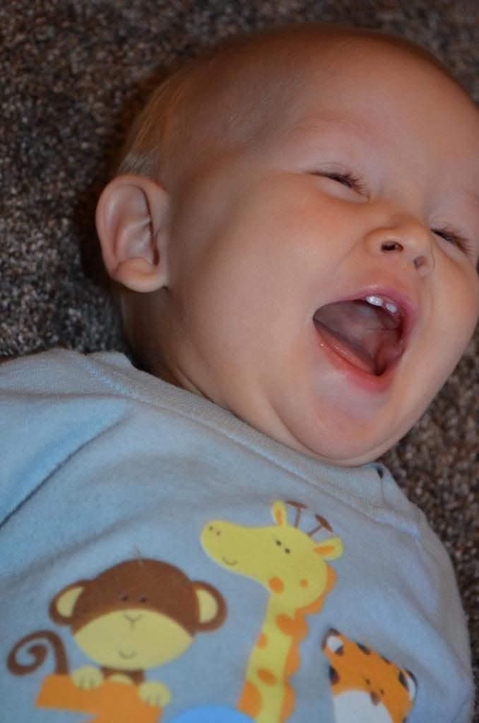  photo DSC_1576_zpsc3ea5111.jpg