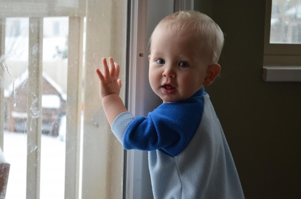  photo DSC_1674_zps0c7b1be6.jpg