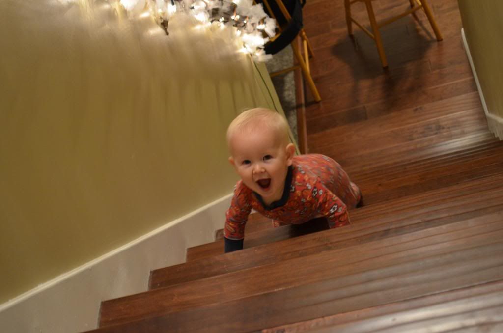  photo DSC_1678_zps6933543a.jpg