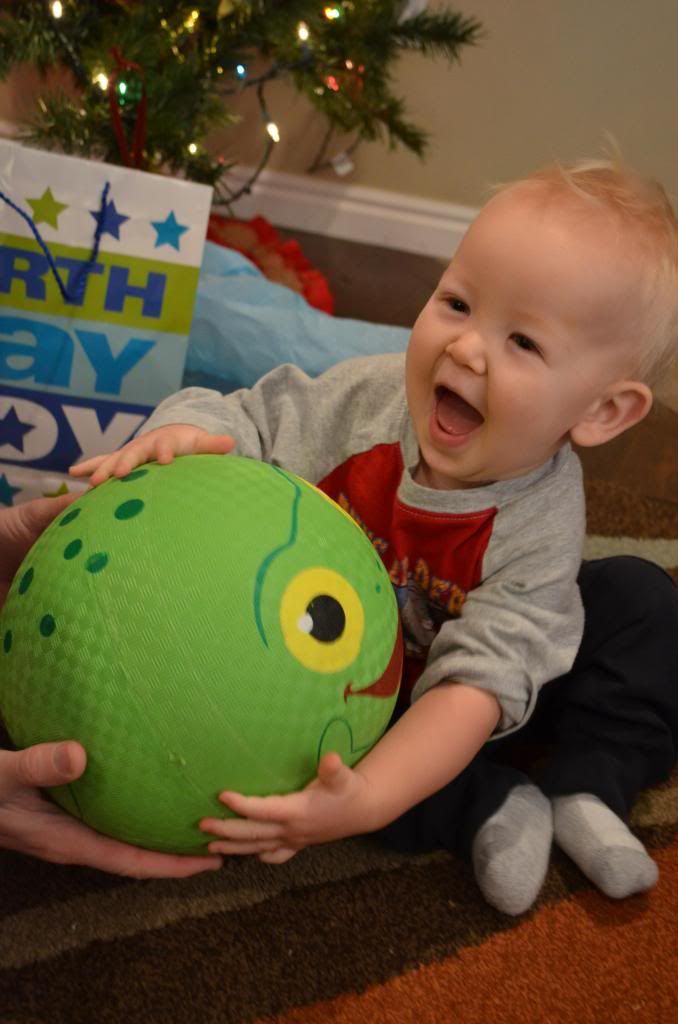  photo DSC_1687_zps51b6a424.jpg