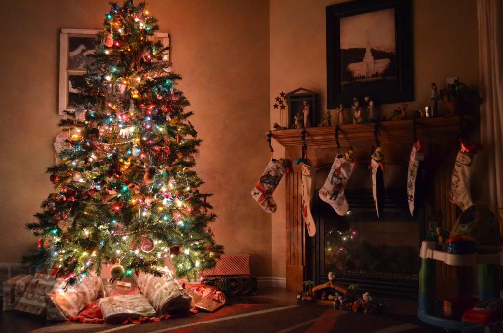  photo DSC_1861_zps61e59d6b.jpg