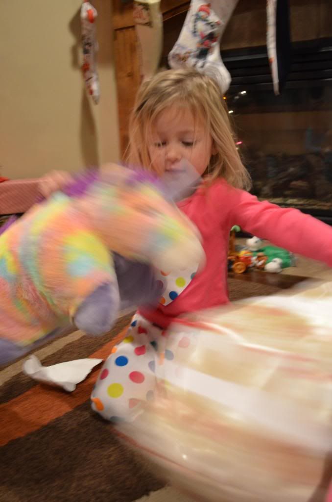  photo DSC_1864_zps24b44130.jpg