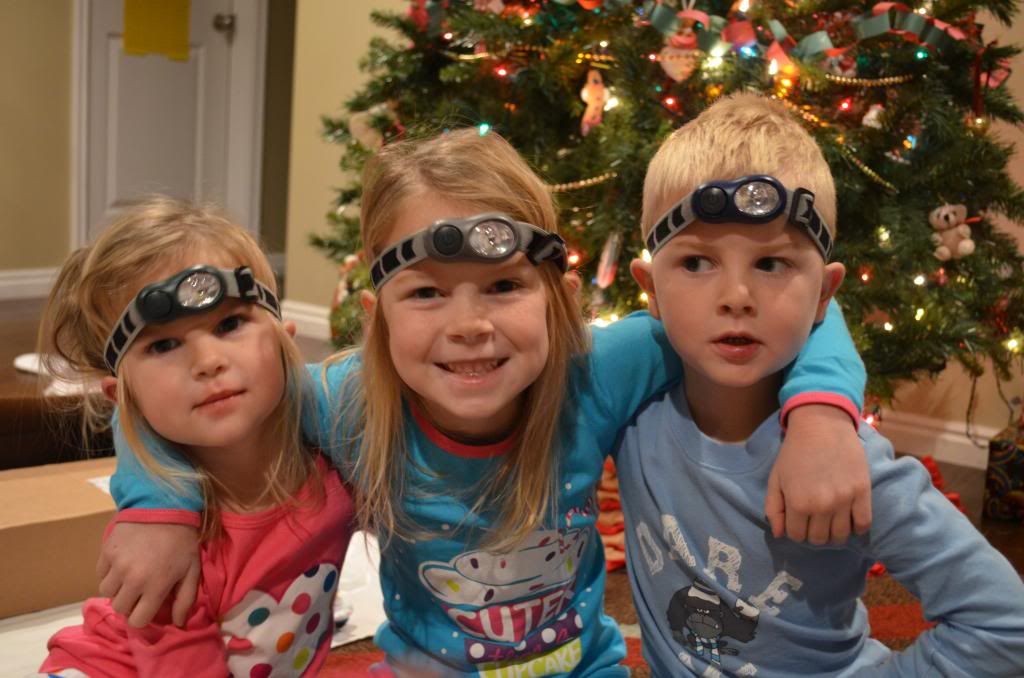  photo DSC_1892_zps9b70a5cf.jpg