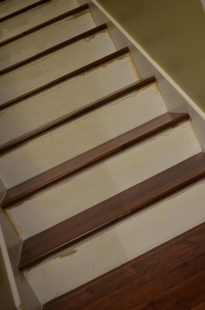  photo DSC_2089_zps2eb61e6e.jpg