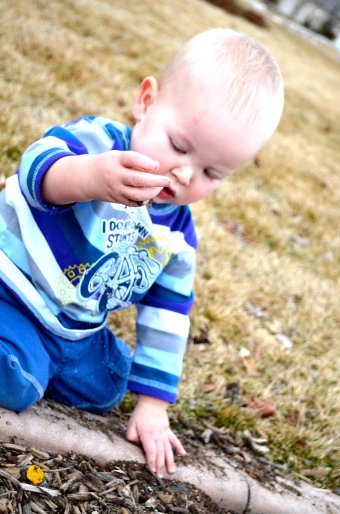  photo DSC_2184_zps6ae9b5d9.jpg