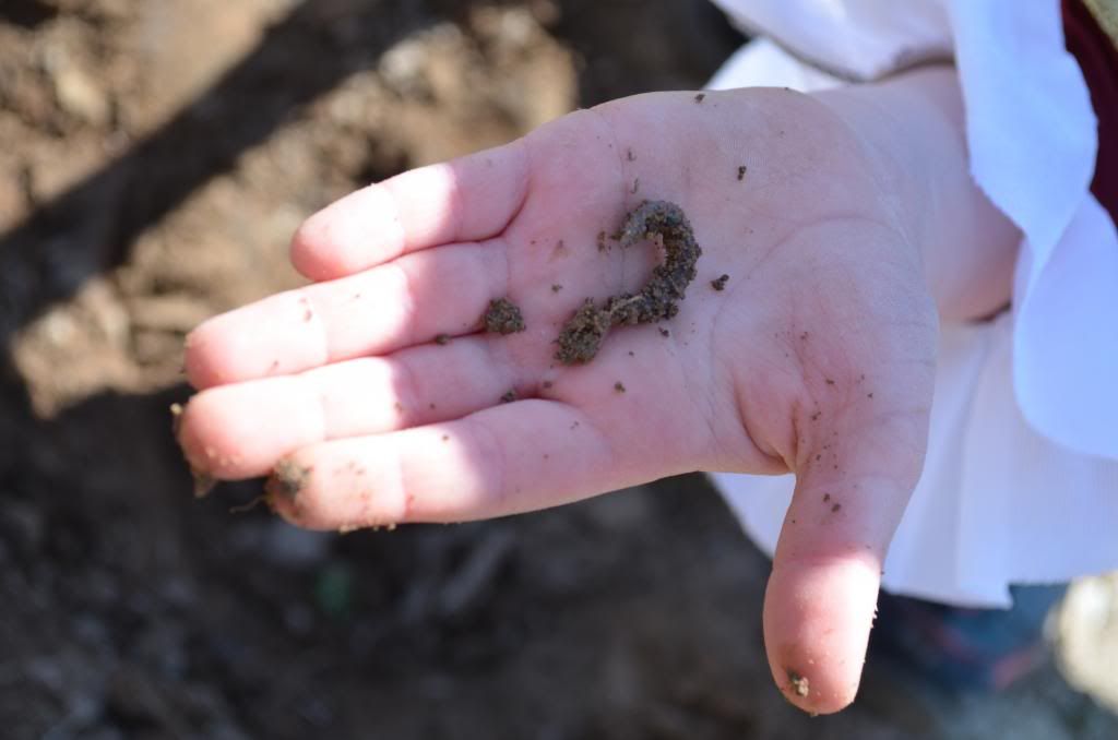  photo DSC_2209_zps2028ce84.jpg